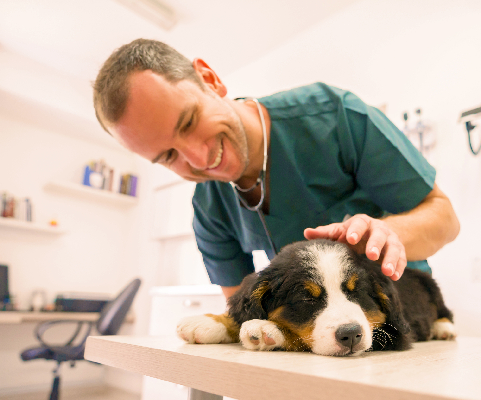 A vet petting a dog on a table