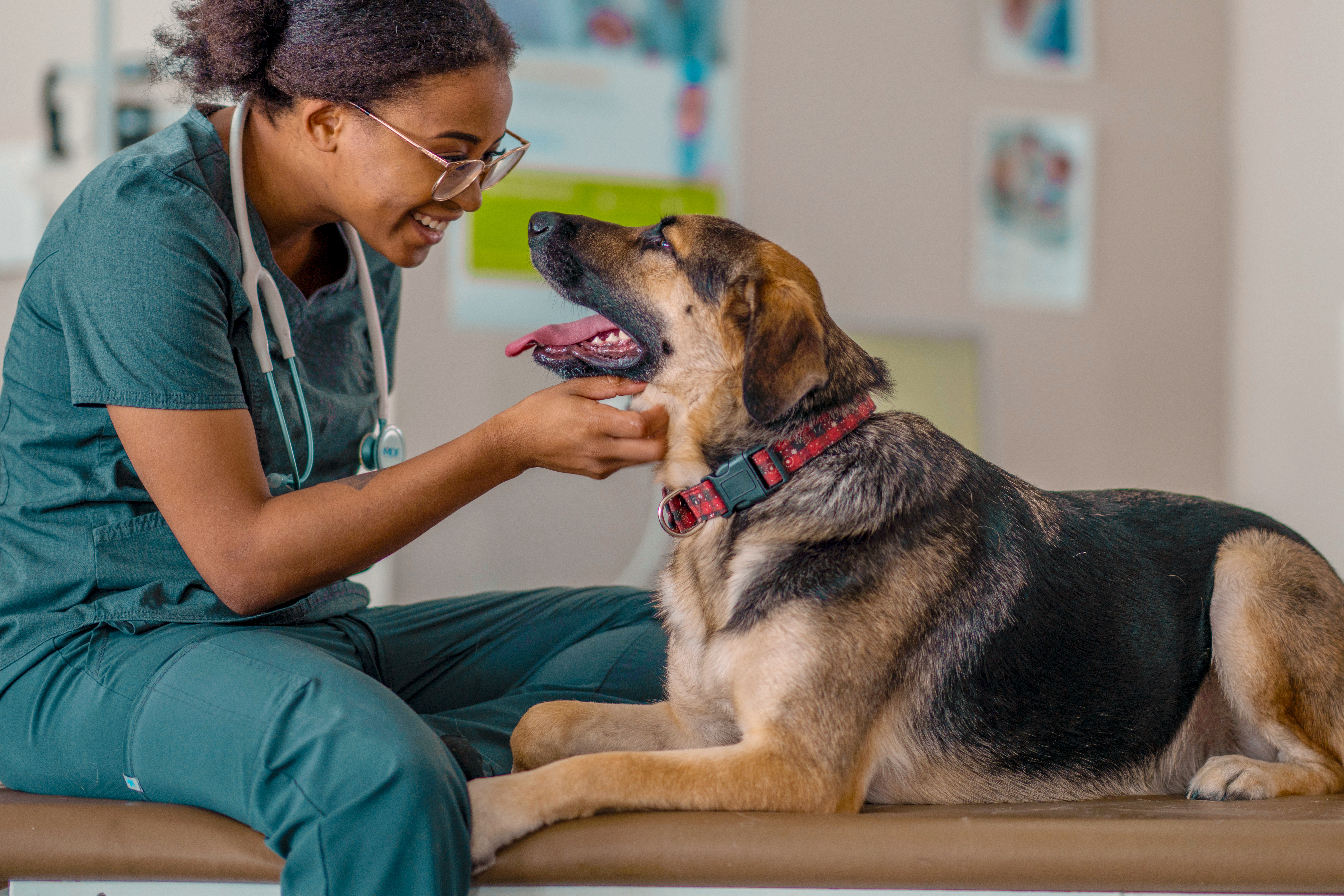 Woman with a German Shepard