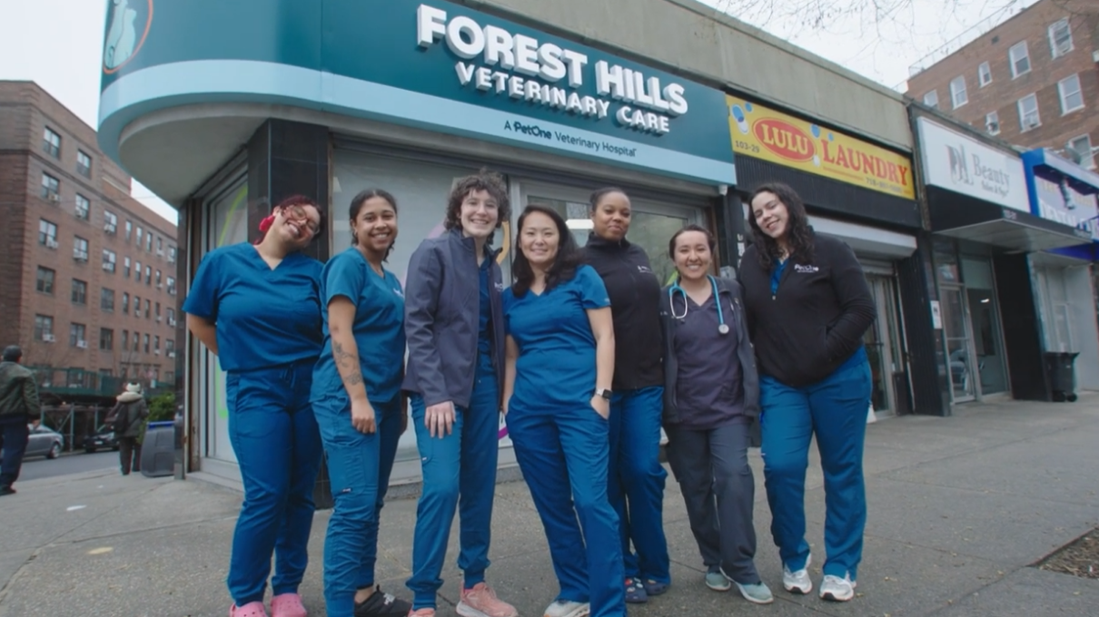 Premier Veterinary Medical Group - Forest Hills
