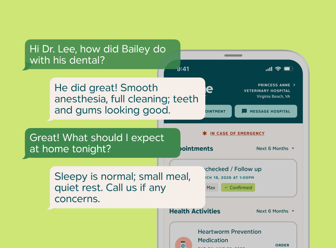 Screenshot of the PetOne Veterinary app with message examples