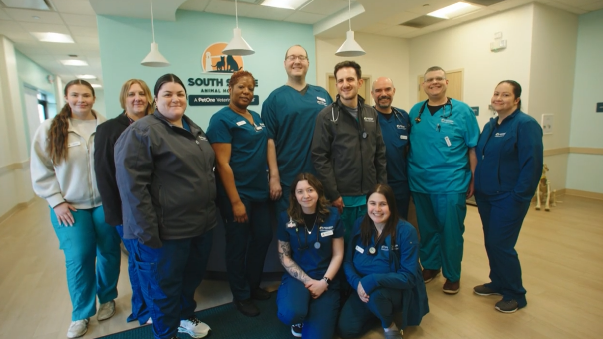 Meet South Shore Animal Hospital's Team