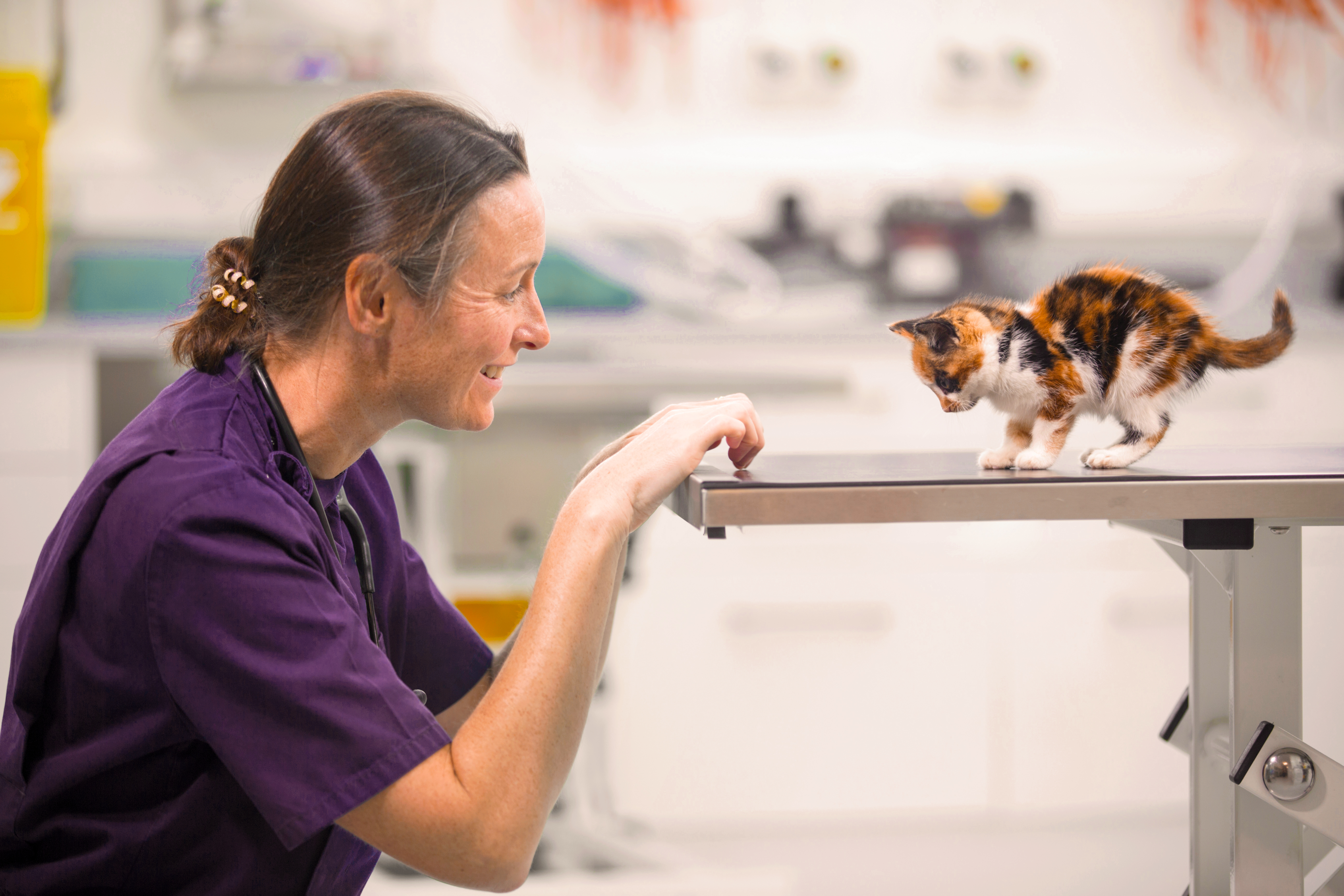Image - Woman with cat on an exam table
