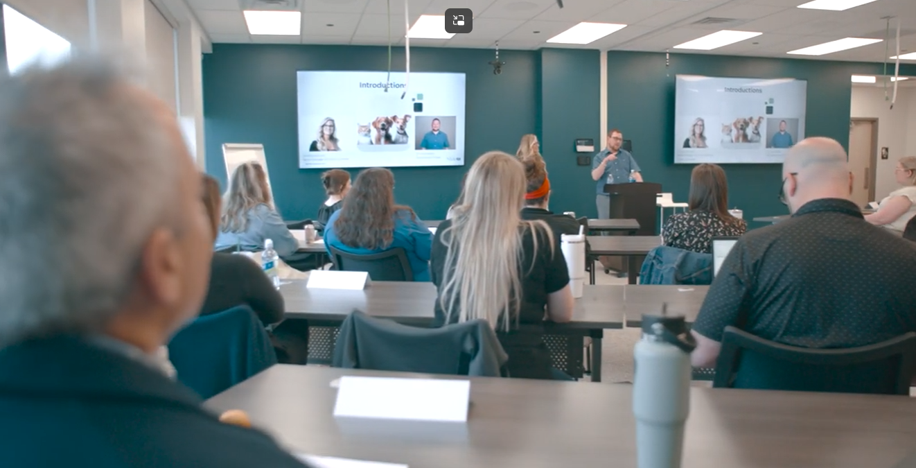 Two Instructors Presenting to a Large Class