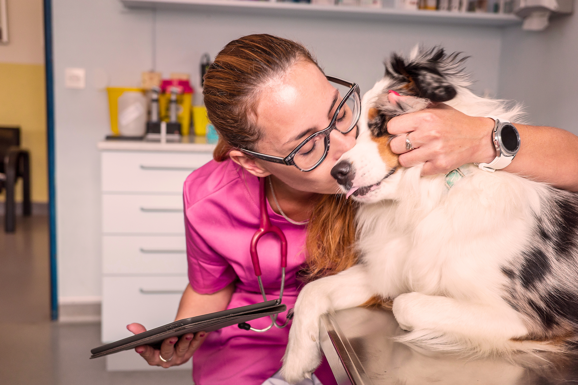 A vet petting a dog