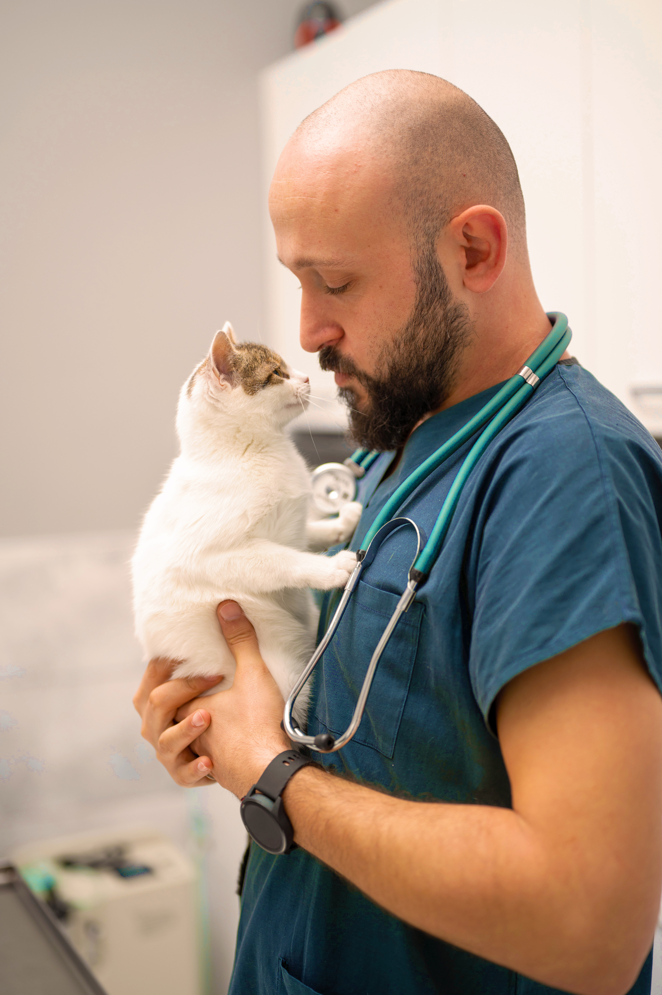 MASTER - PetOne - Image - Veterinary - Vet Holding Cat