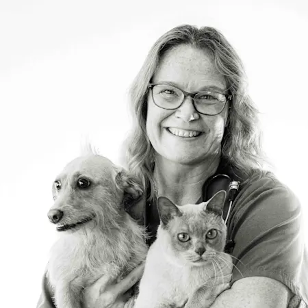 Dr. Catherine Gallahorn