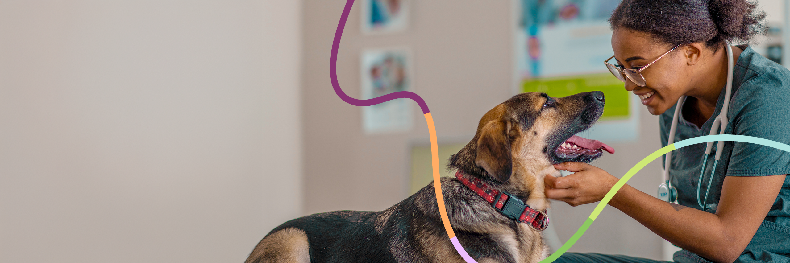 Premier Veterinary Medical Group - Forest Hills