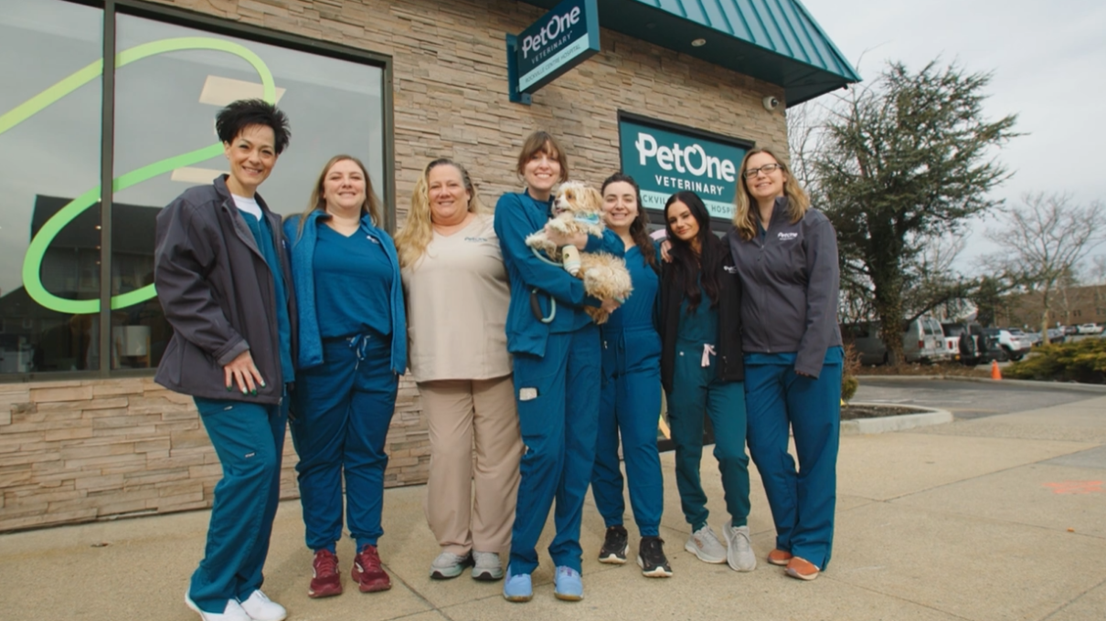 Bayside Animal Hospital, A PetOne Veterinary Hospital