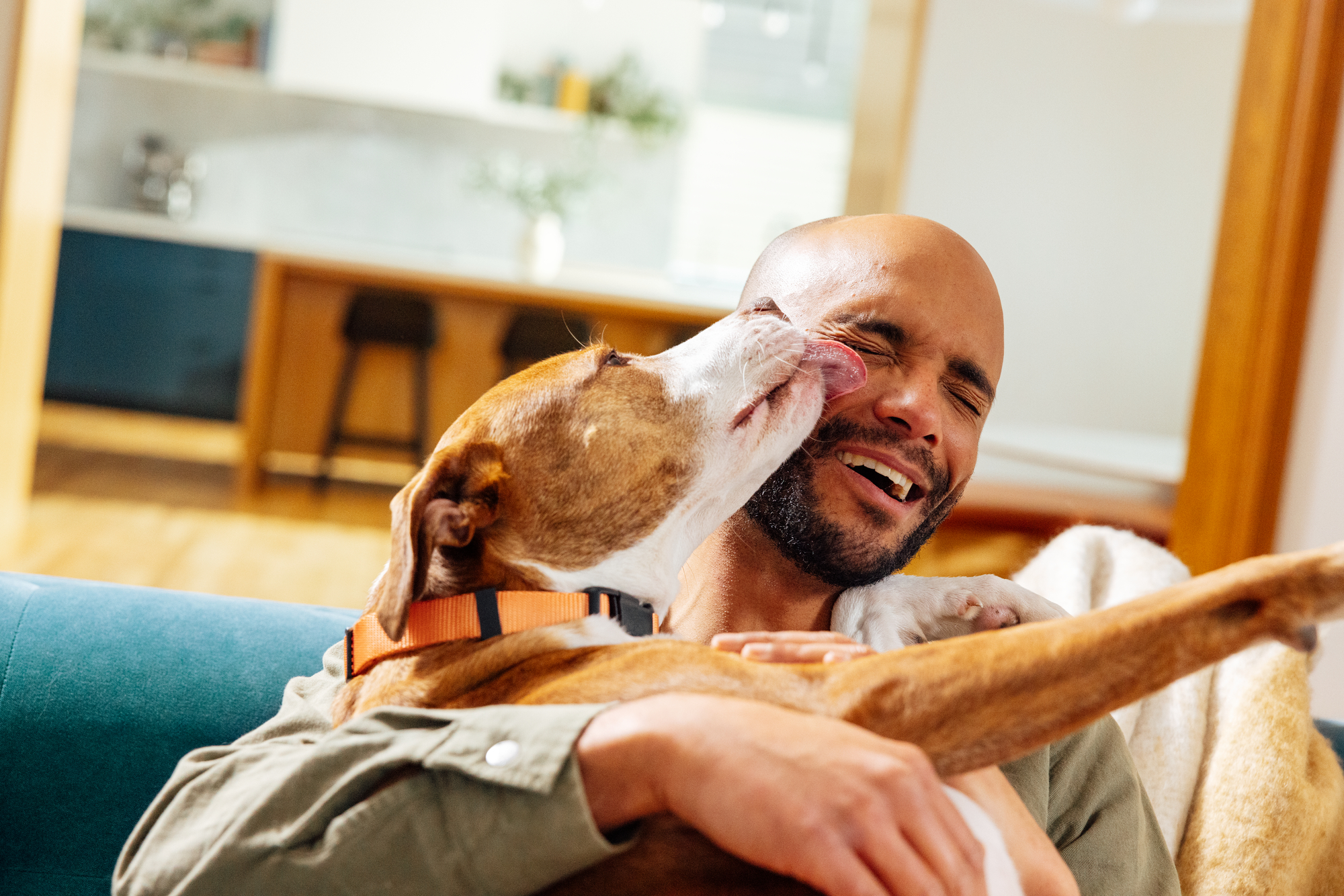 Master - PetOne - Image - Lifestyle - A Man being Licked by a Dog