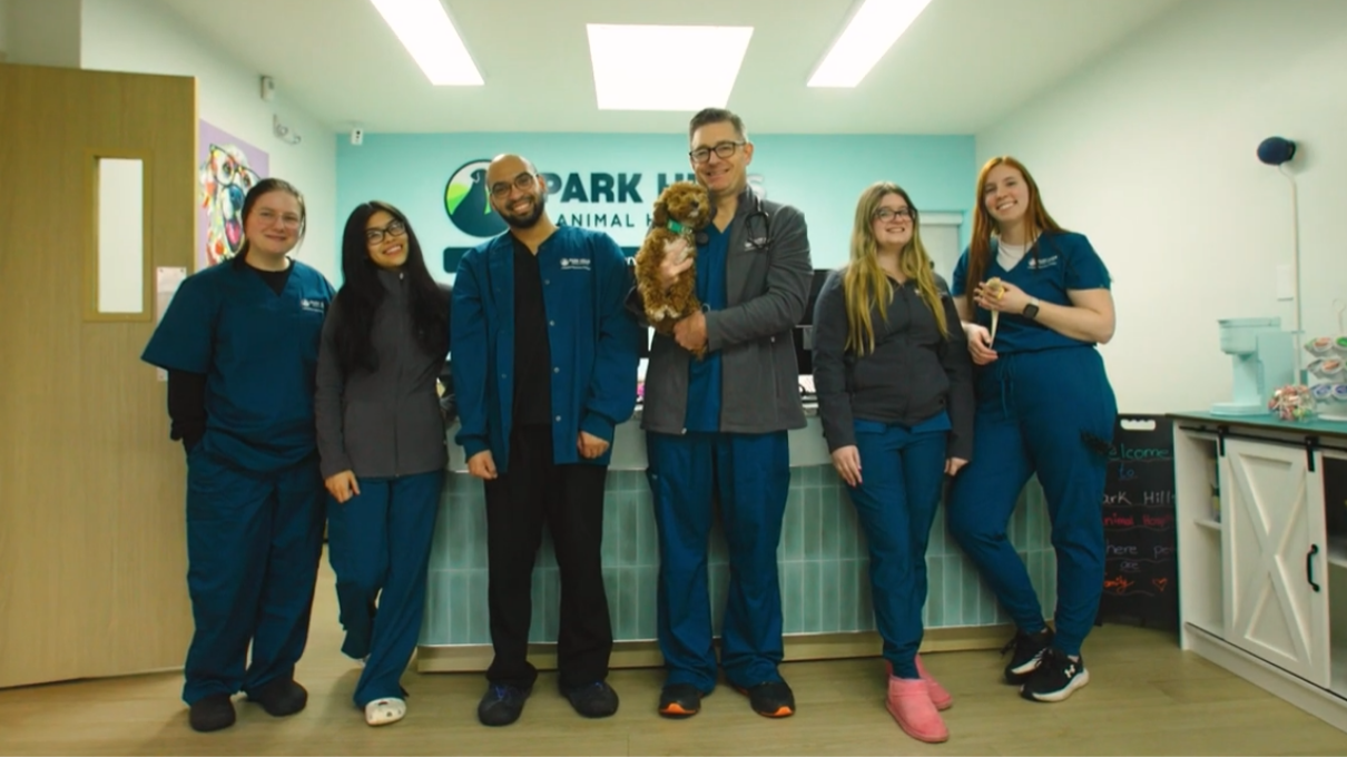 Meet Park Hills Animal Hospital's Team