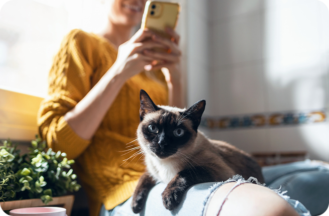 PetOne - 1391 - Download the App image