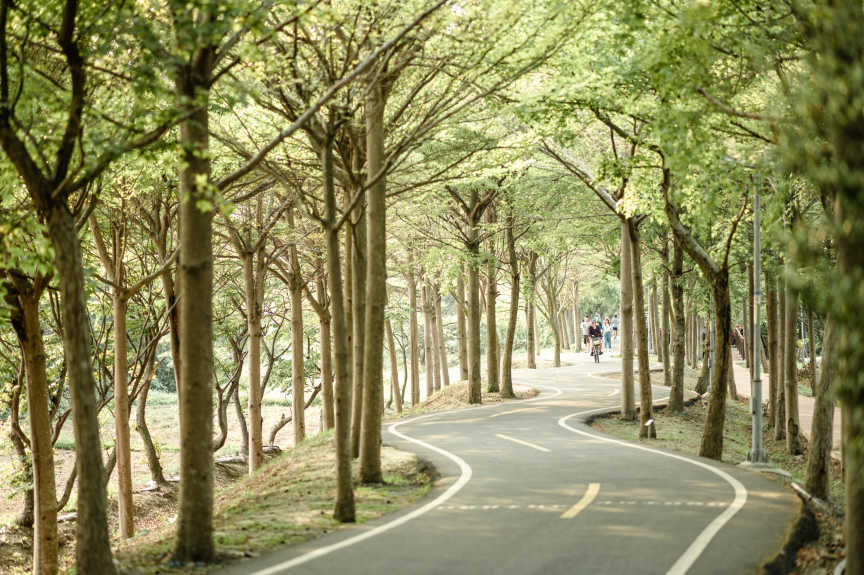 潭子一日遊 : 愜意生活旅行路線