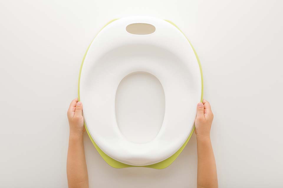 Toilet training seat which can be used with a standard toilet