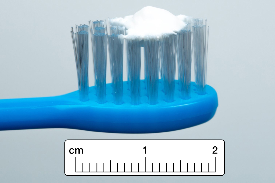 A graphic of a child's toothbrush with a 2cm brush head. There is a pea-sized blob of toothpaste extending about half the length of the brush head.