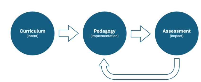 The curriculum as a progression model