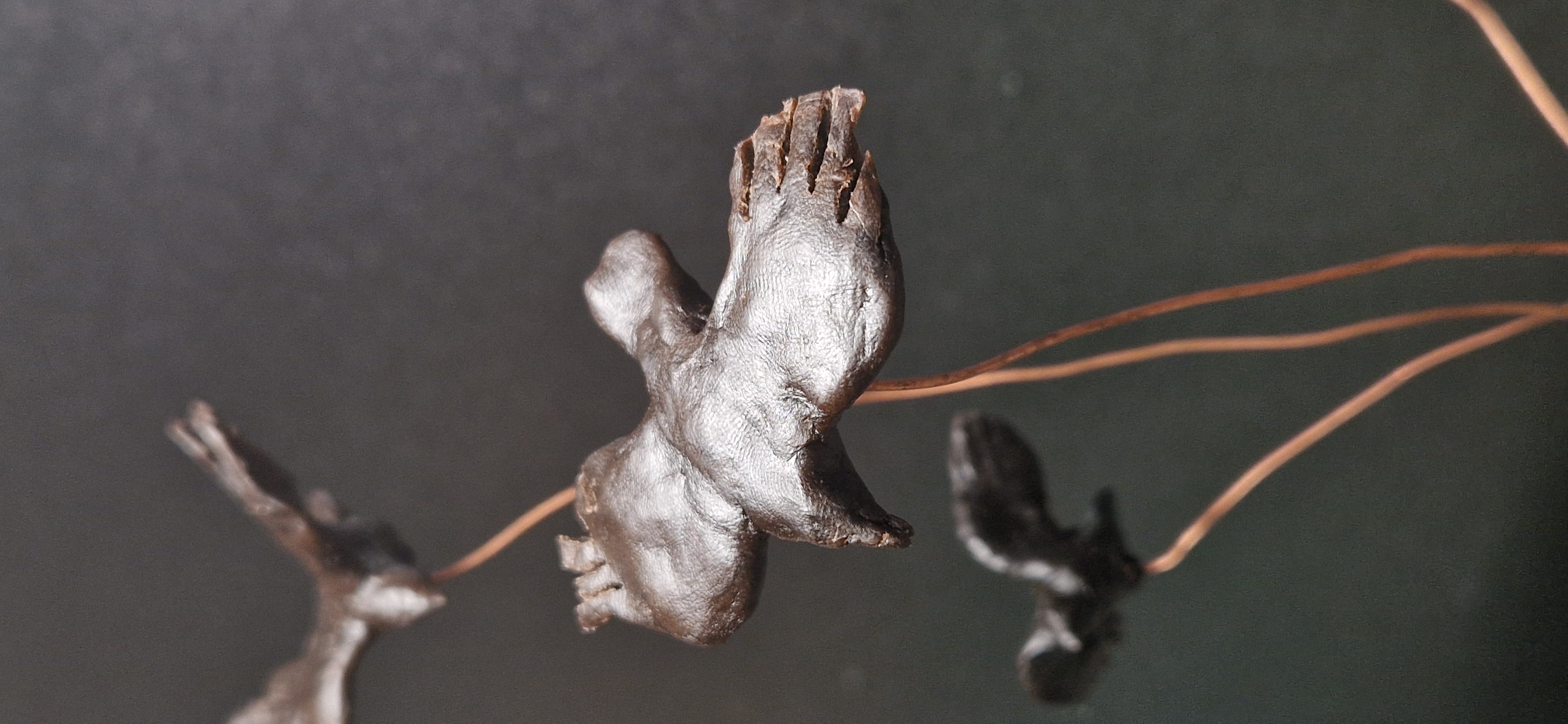 Concurrerende kraaien