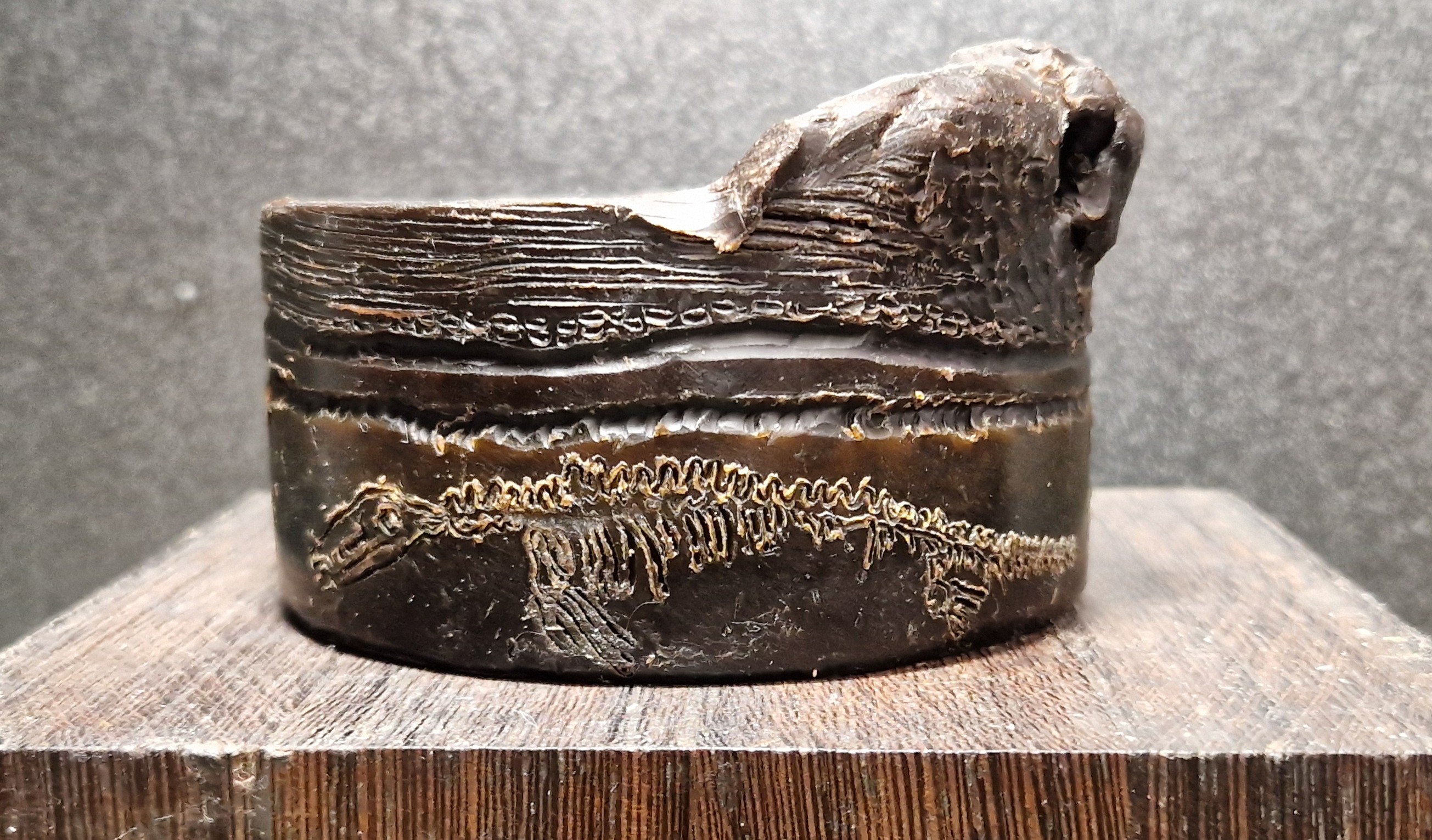 Landschap met onontdekte mosasaurus