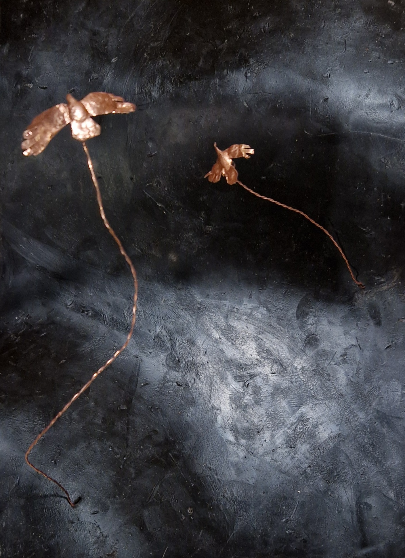 Fouragerende kraaien boven een landschap