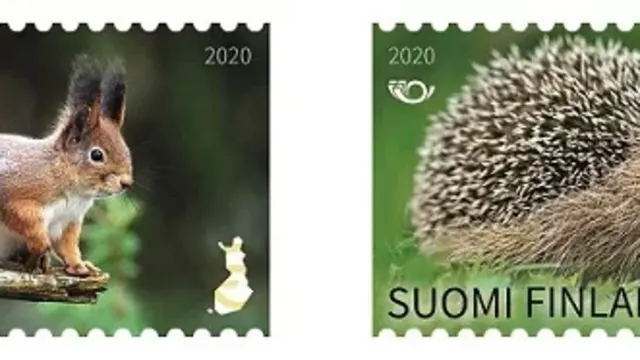 Two stamps with images of a squarrel and a hedgehog