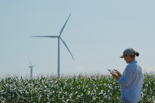 A farmer with a mobile device examines her cornfields as windmills generate power.