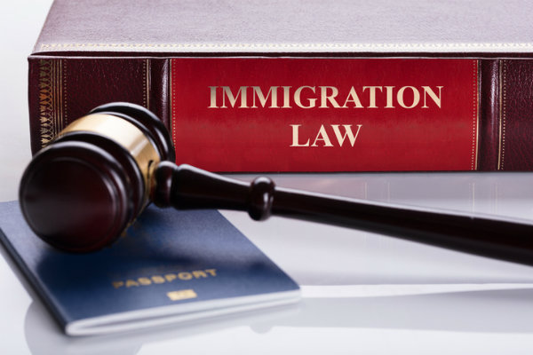 Immigration Law book, passport, and gavel