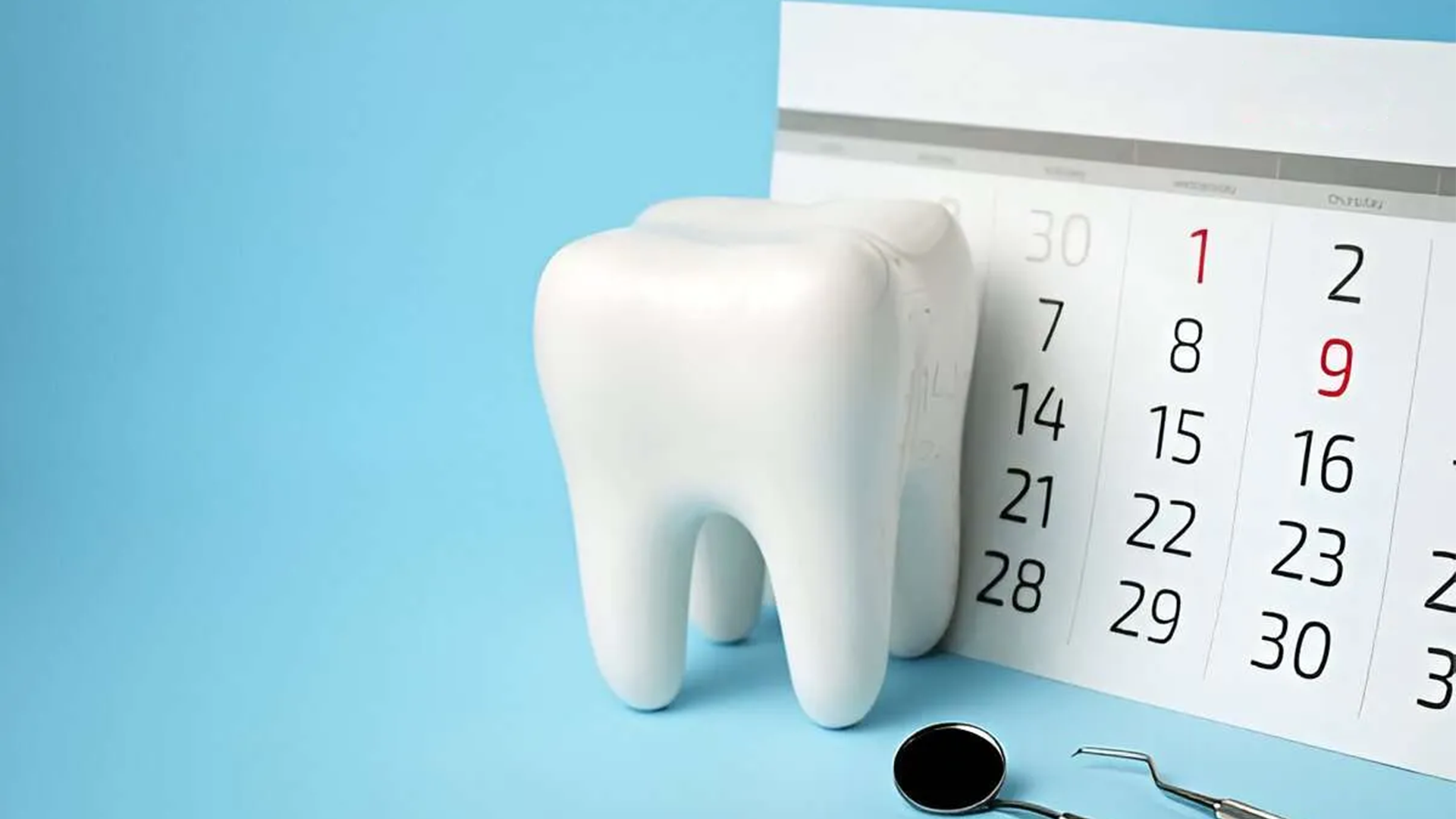 Your Guide to Booking a Dental Appointment 
