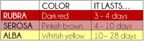 Stages of postpartum bleeding table (rubra, serosa, alba)