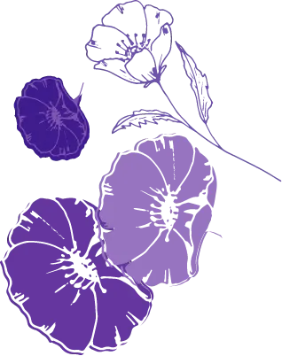 Flowers with Always Discreet incontinence products packaging