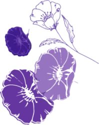 Flowers with Always Discreet incontinence products packaging