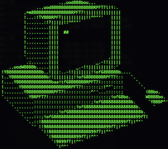 computerAscii