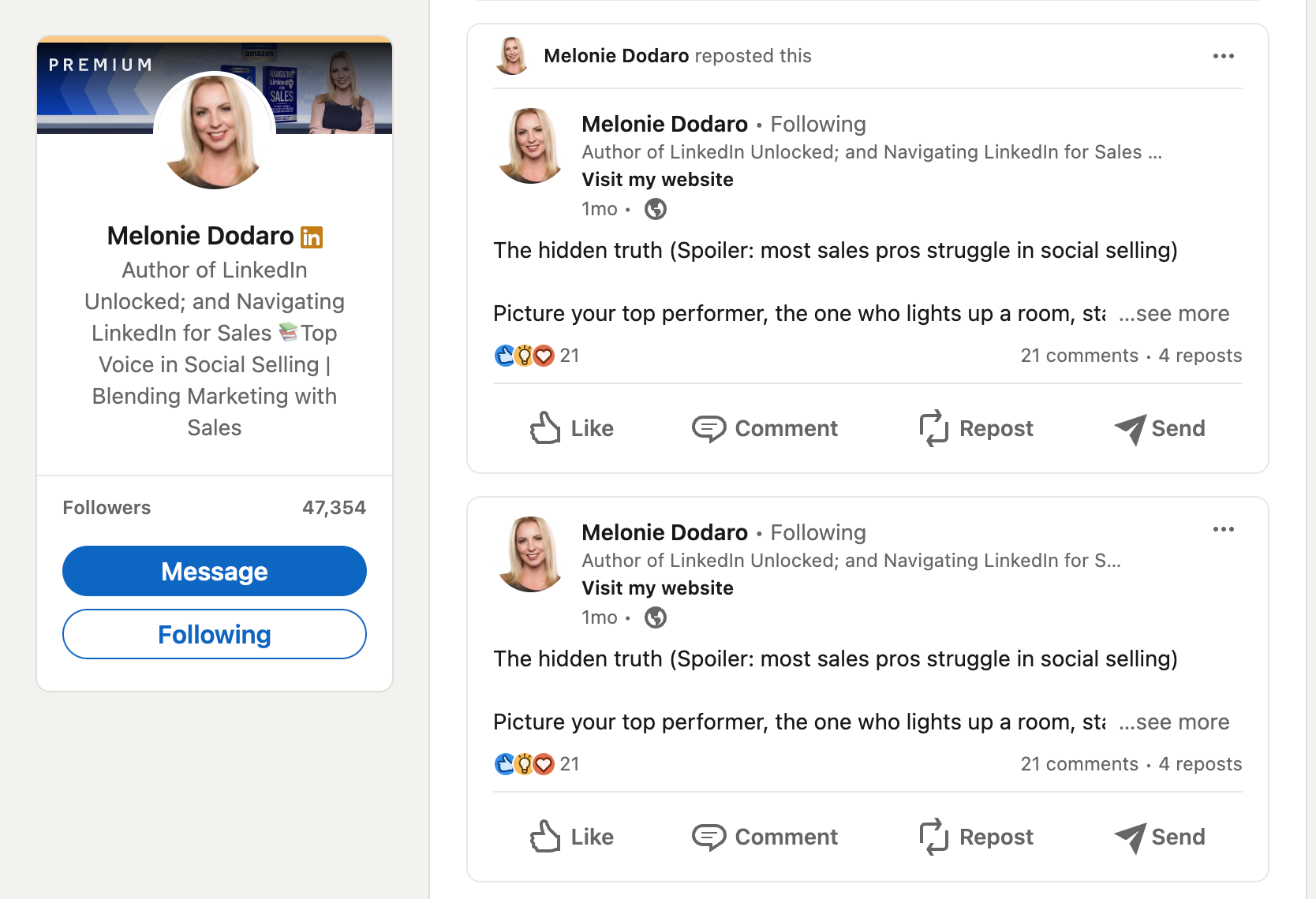 melonie dodaro linkedin profile