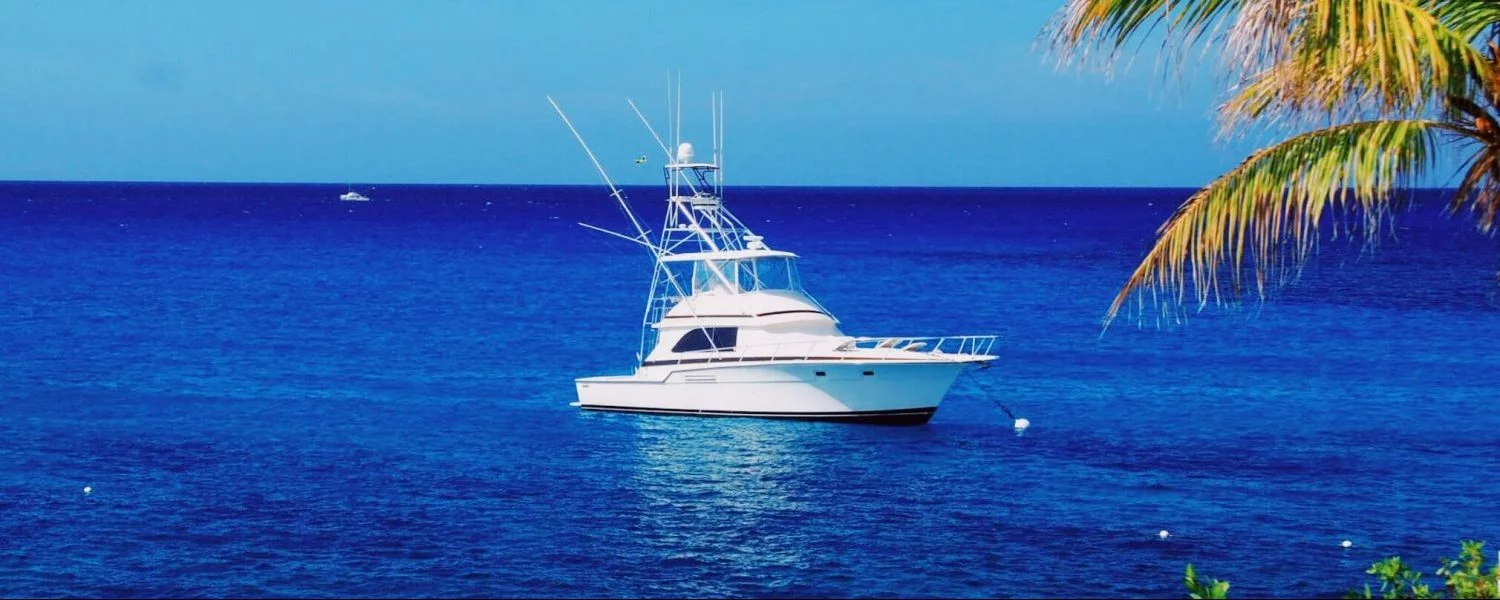 WHY YOU NEED TO GO FISHING IN NEGRIL, JAMAICA