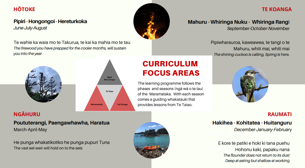 Curriculum Focus Area Diagram