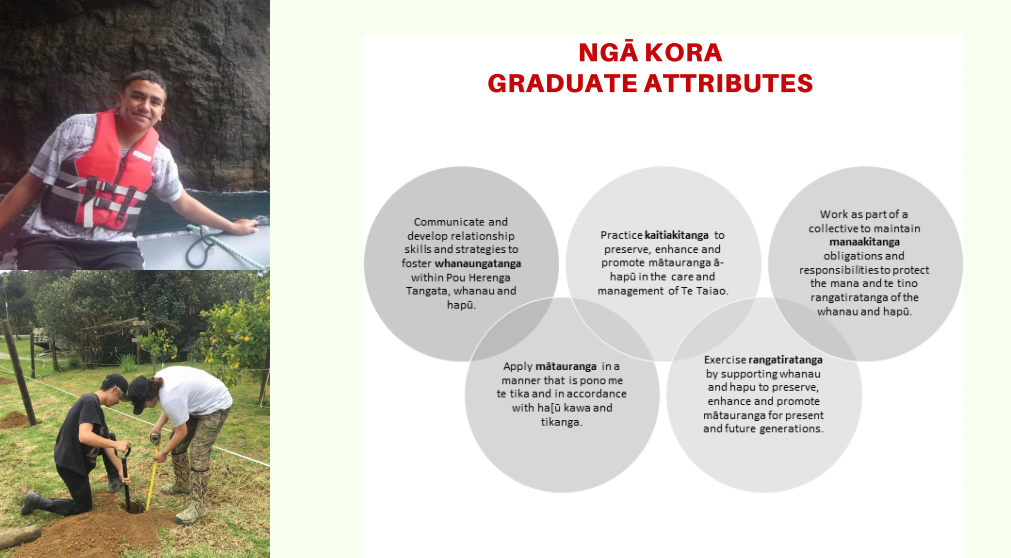 Graduate Attributes Diagram