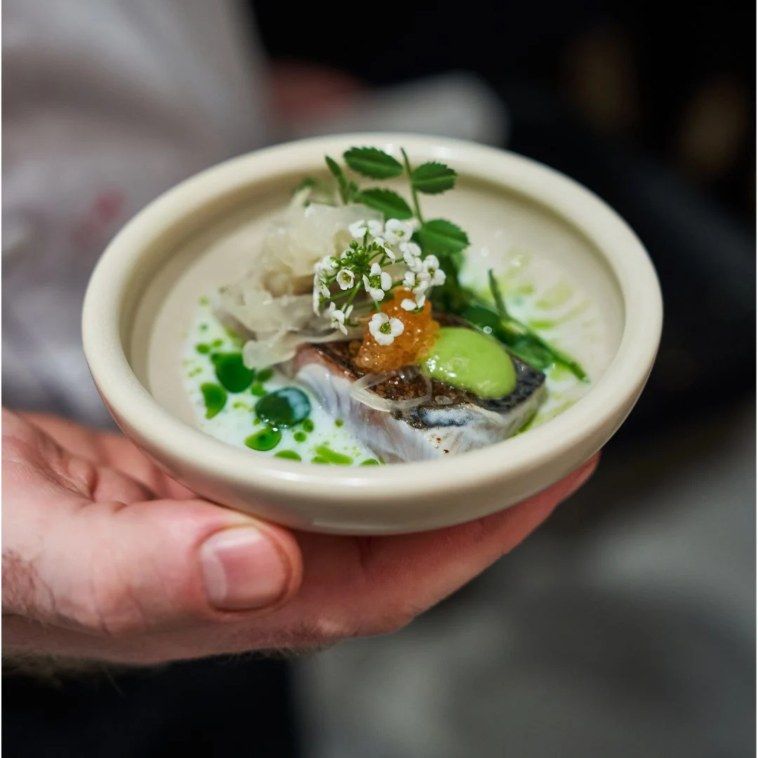 Minne kumpi tää on
