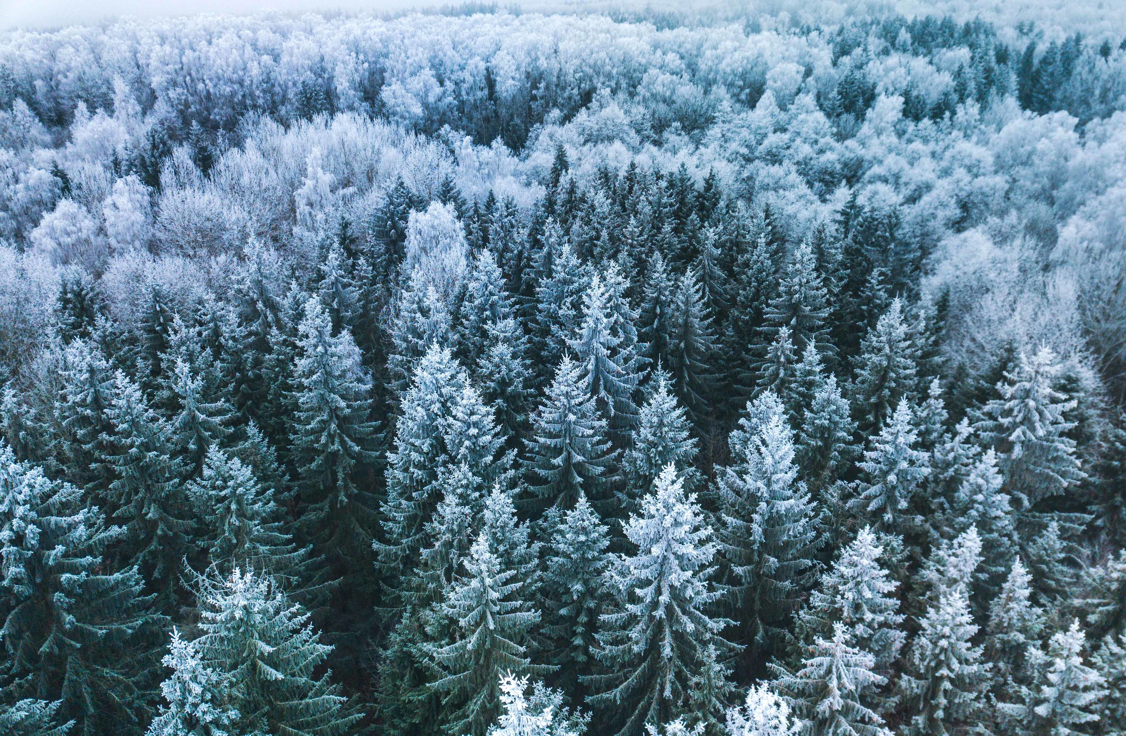 Porkka kotimainen valmistaja