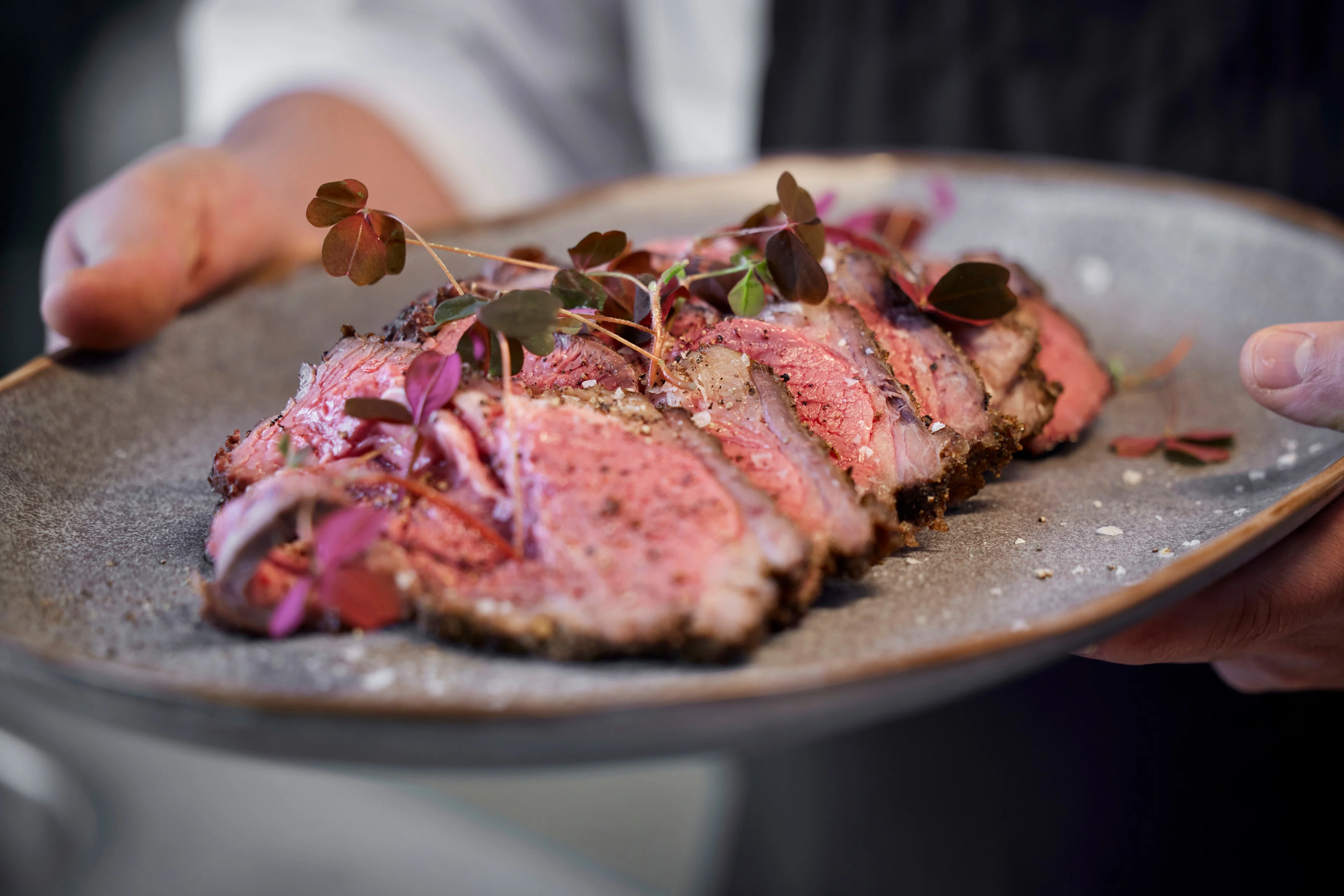 Dieta Invoq – luotu kaikille