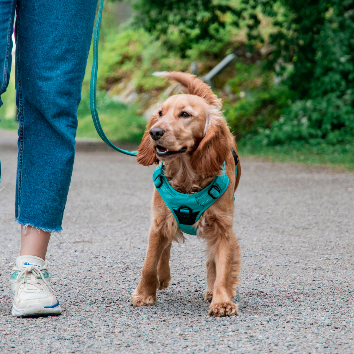 VetZoo-summer-78 (1)