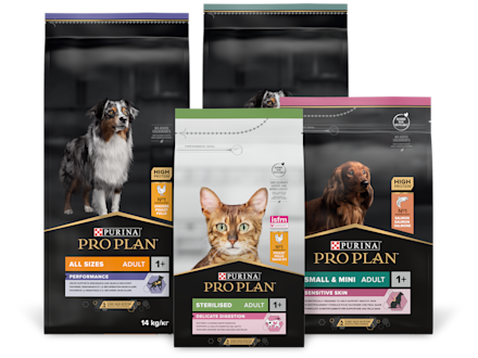 Fodersäckar av Purina pro plan kattmat och hundmat