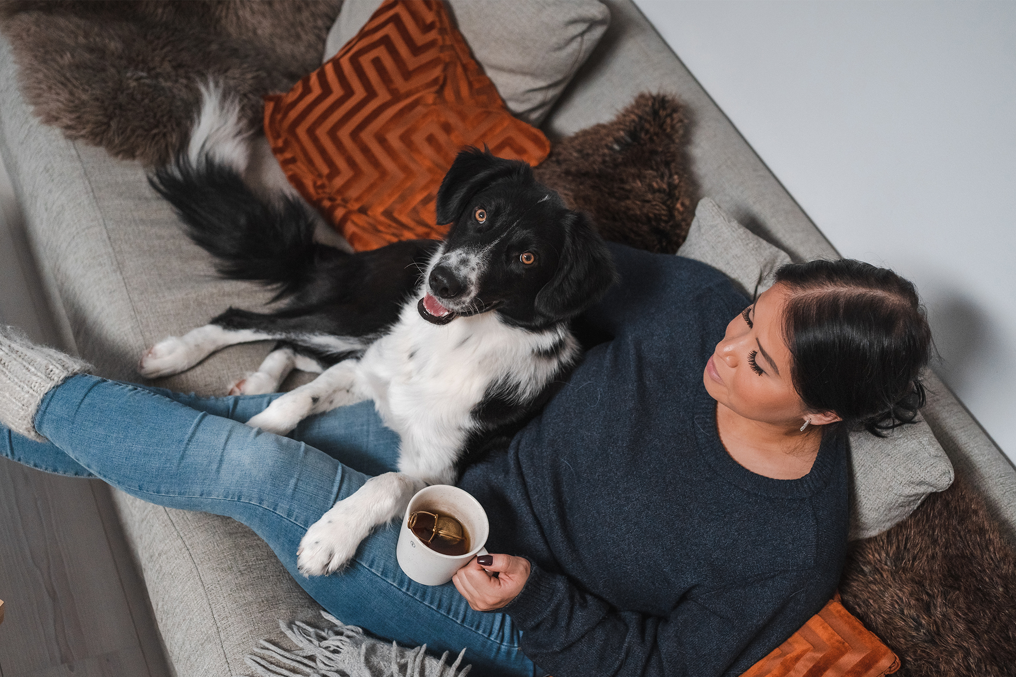 Pureplay article having a dog despite allergies DOG 3x2