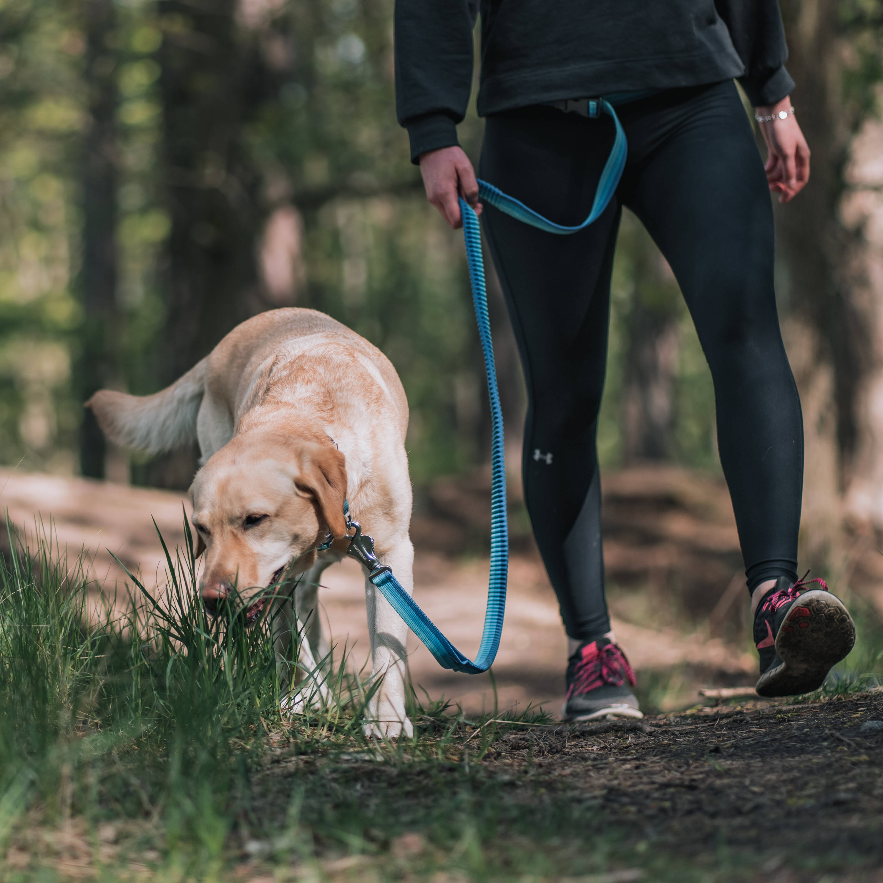 VetZoo Hagaparken - WHYMAC-74 2094x1396 px