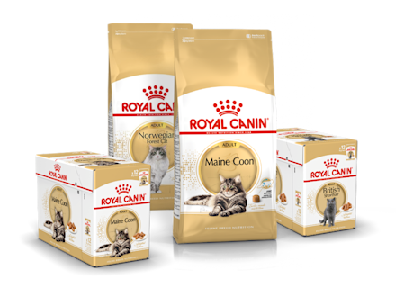 Royal Canin Breed Kattmat