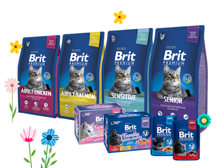 Brit Premium -kissanruoat