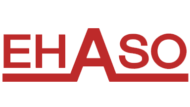 VZ/BRAND LOGO/EHASO