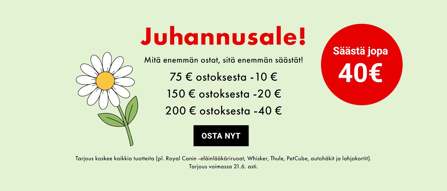 Juhannuskampanja