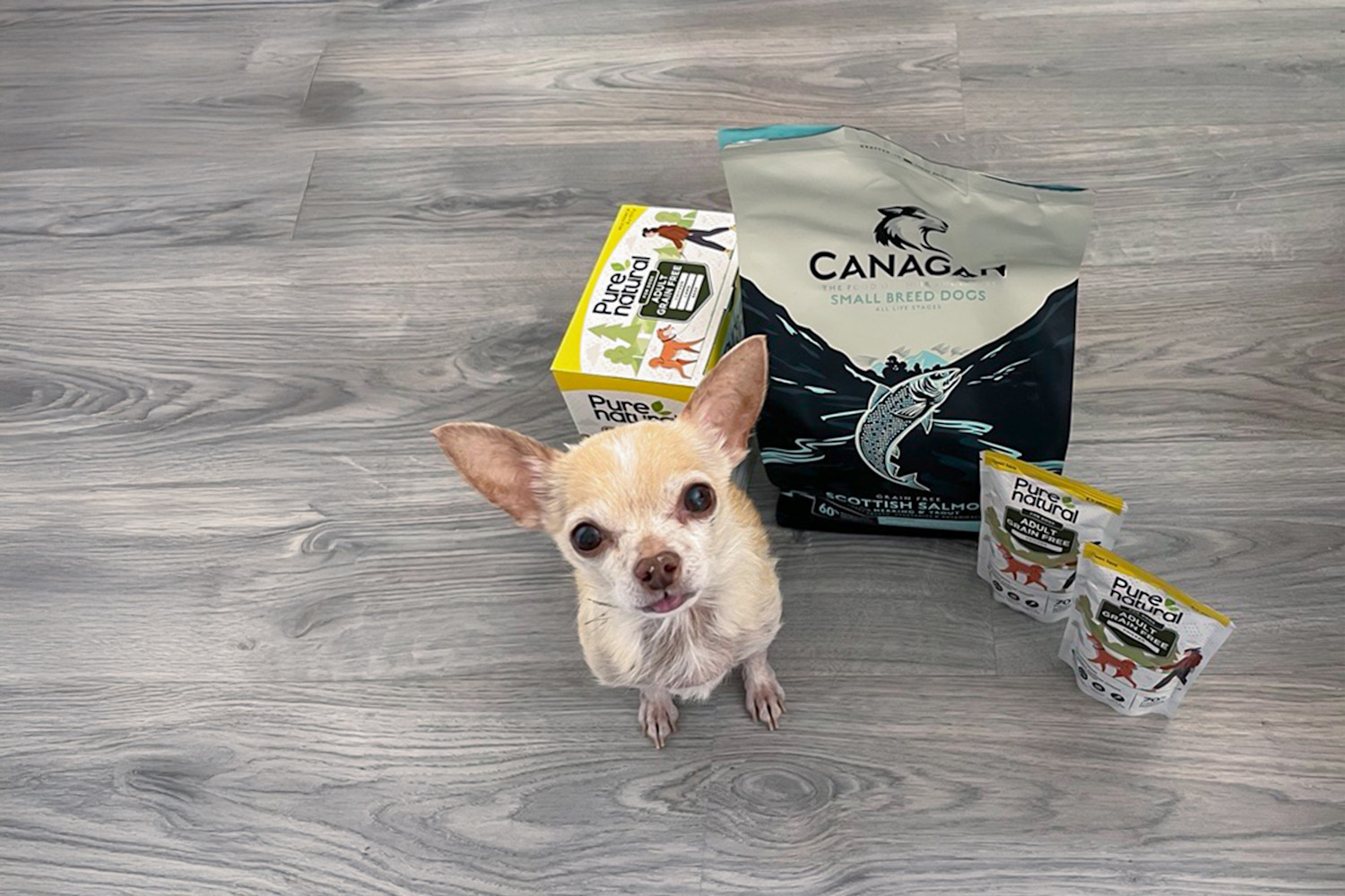 Pureplay article Picky Dog DOG 3x2