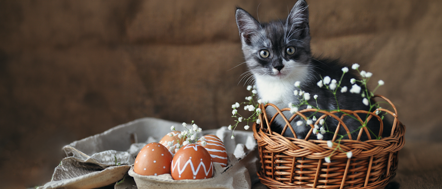 Pääsiäisrieha Petellä!