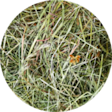 PKT Mobile-menu-icon 400x400 Small-animal-HAY