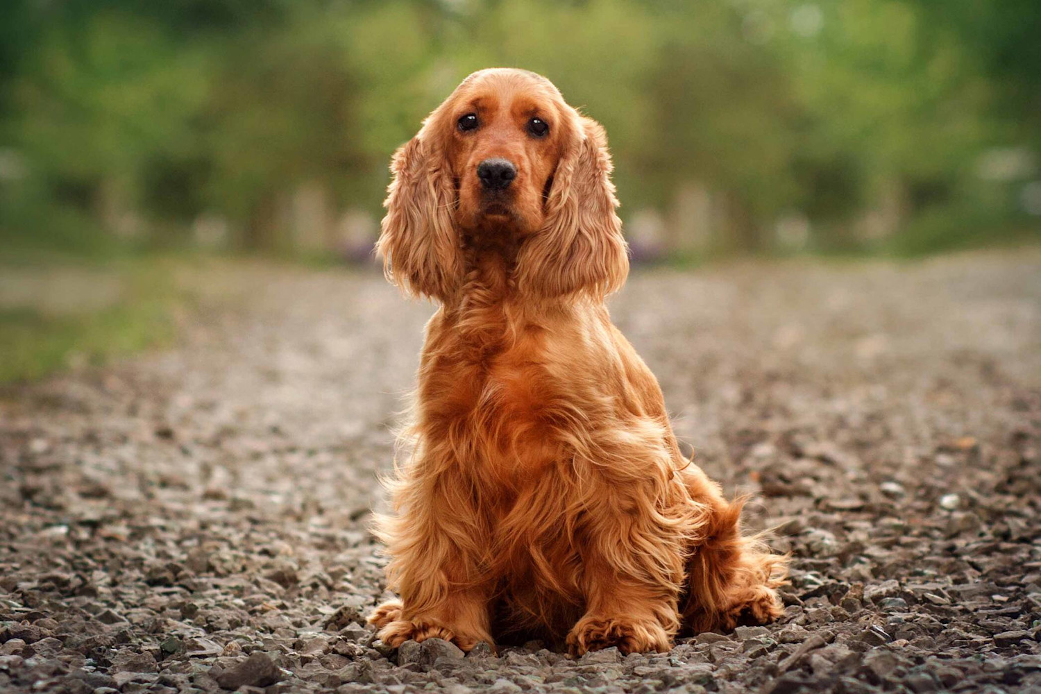 articles-page-header