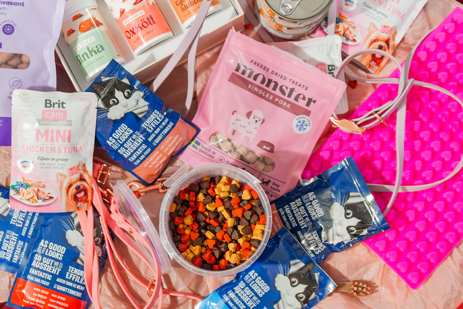 Pureplay article Best gifts for dogs cats – 12 Valentine-s Day tips CAT 3x2